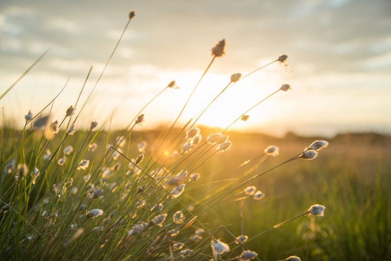 Prognoza meteo ANM, 16 - 22 mai 2022. Vremea &icirc;n următoarea săptăm&acirc;nă. ANM anunță valori termice normale pentru această perioadă