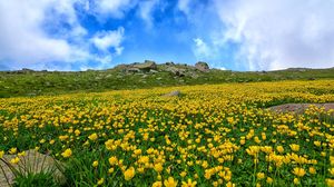 Prognoza meteo ANM, 16 - 22 mai 2022. Vremea în următoarea săptămână. ANM anunță valori termice normale pentru această perioadă