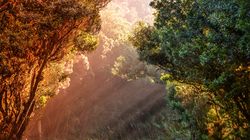 Prognoza meteo ANM, 13 - 15 mai 2022. Cum va fi vremea în weekend. ANM anunță valori de peste 30 de grade Celsius