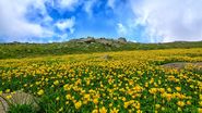 Prognoza meteo ANM, 13 - 15 mai 2022. Cum va fi vremea în weekend. ANM anunță valori de peste 25 de grade Celsius