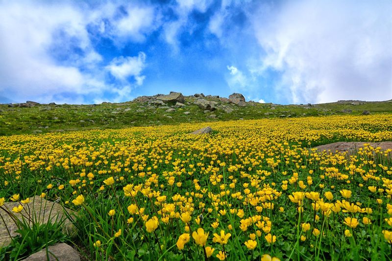 Prognoza meteo ANM, 13 - 15 mai 2022. Cum va fi vremea în weekend. ANM anunță valori de peste 25 de grade Celsius