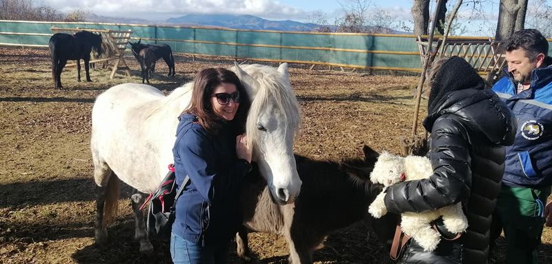 Pedepse și amenzi mai mari pentru cei care torturează animalele. Cum va schimba noua lege atitudinea oamenilor