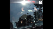 Zlatan Ibrahimovic s-a bucurat atât de tare cu suporterii, că a fost bun de plată. Ce mesaj le-a transmis Ibra criticilor lui