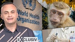 OMS avertizează întreaga lume să ia în serios variola maimuței. Ce spun experții despre o posibilă epidemie: „Este o diferență semnificativă între variola maimuței și variola umană, care a fost eradicată” | EXCLUSIV