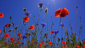 Prognoza meteo ANM 24 mai - 5 iunie 2022. Vremea în țară în următoarele două săptămâni. Vezi unde sunt anunțate temperaturi de peste 30 de grade Celsius