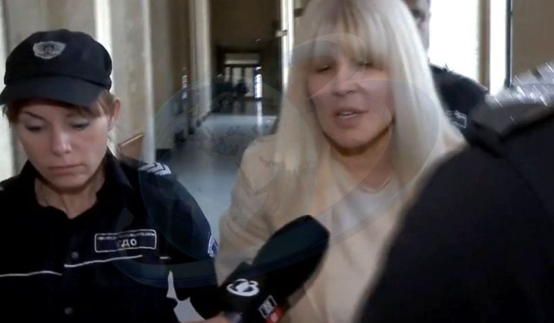 Elena Udrea, &icirc;n lacrimi &icirc;n fața magistraților