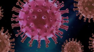 După variola maimuței, un alt virus amenință populația! Primul caz a fost descoperit în India. Despre ce este vorba