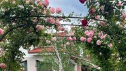 Cum arată vila în care locuiește Mirela Vaida! Prezentatoarea TV este foarte mândră de cum și-a amenajat locuința „Nicăieri nu-i ca acasă”