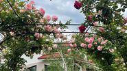 Cum arată vila în care locuiește Mirela Vaida! Prezentatoarea TV este foarte mândră de cum și-a amenajat locuința „Nicăieri nu-i ca acasă”