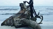 „Așa arată iubirea” Anca Țurcașiu radiază de fericire. Cu cine a plecat actrița în vacanță? Fanii s-au bucurat să-i vadă împreună
