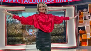 Ce salariu are Mirela Vaida?