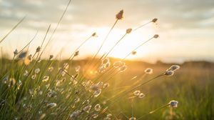 Prognoza meteo ANM, 10 - 12 iunie 2022. Vremea în weekend. Vezi ce prognoză a emis ANM pentru weekend-ul 10-12 iunie