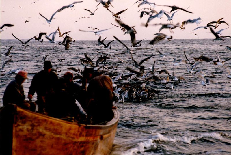 Prognoza meteo ANM, luni, 13 iunie 2022