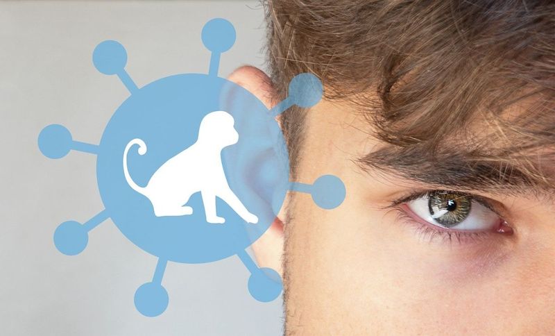 Tot ce trebuie să știe rom&acirc;nii despre variola maimuței. Care sunt primele simptome ale bolii și cum ne protejăm &icirc;n fața infectării | EXCLUSIV