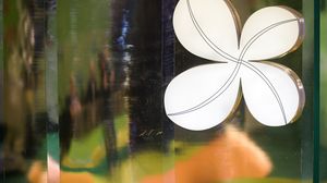 Rezultate LOTO 6/49, Joker, 5/40, Noroc