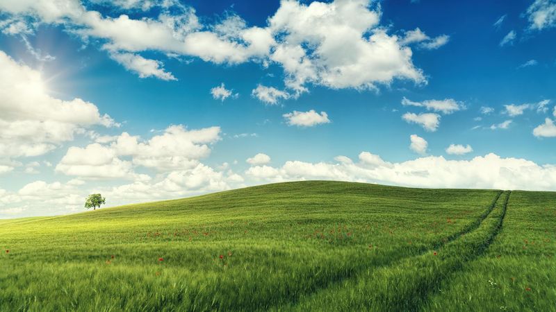 Prognoza meteo ANM, 21 iunie - 3 iulie 2022. Vremea în țară în următoarele două săptămâni. ANM anunță zile foarte călduroase Prognoza meteo ANM, 21 iunie - 3 iulie 2022. Vremea în țară în următoarele două săptămâni. ANM anunță zile foarte călduroase