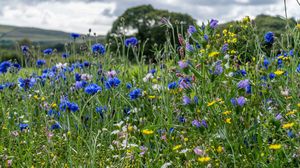 Prognoza meteo ANM, joi, 23 iunie 2022  Prognoza meteo ANM, joi, 23 iunie 2022