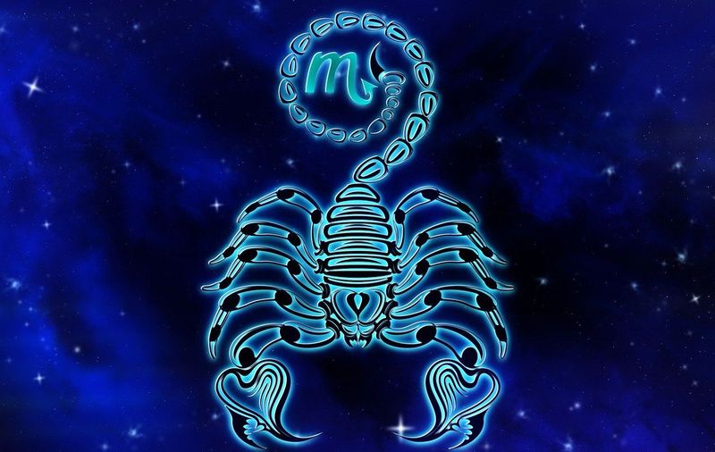 zodia scorpion