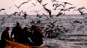 Prognoza meteo ANM, luni, 27 iunie 2022