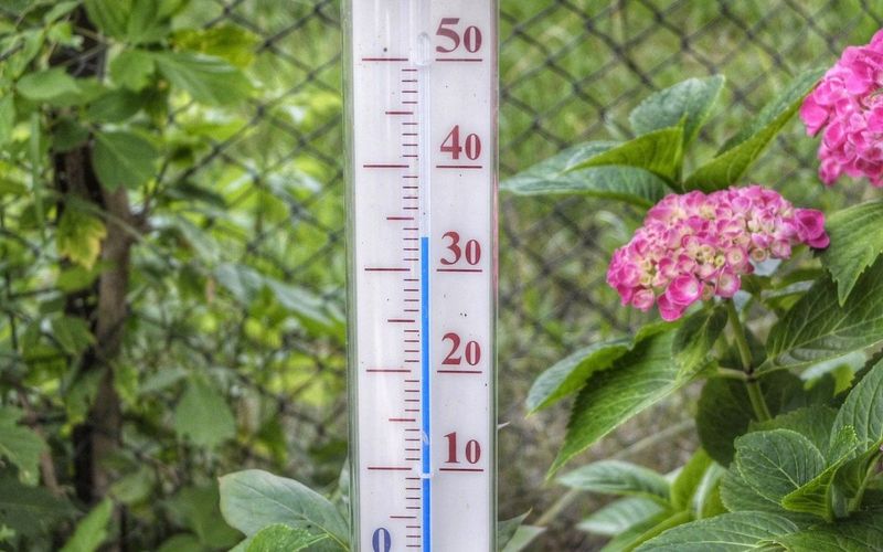 termomentru temperaturi caniculare