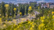 oras vechi romania constanta