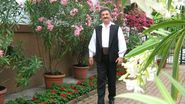 petri mitu stoian