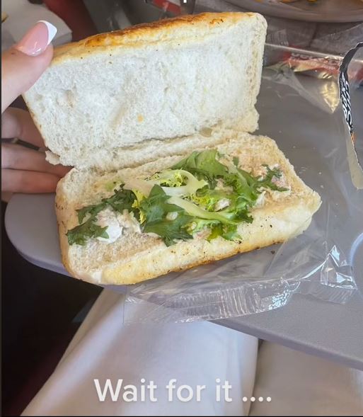 Câți bani a plătit pasagera unui avion pe un sendviș comandat la bordul navei? A primit o chiflă cu maioneză și frunze de salată