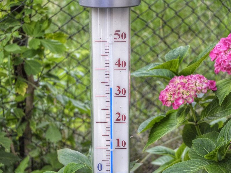 Vremea astăzi: Valul de căldură topește România! Meteorologii anunță temperaturi care vor depăși recordurile acestei perioade | EXCLUSIV