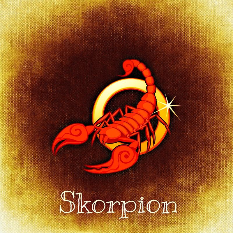 scorpionii dupa despartire