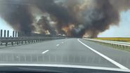  Culiță Sterp incendiu