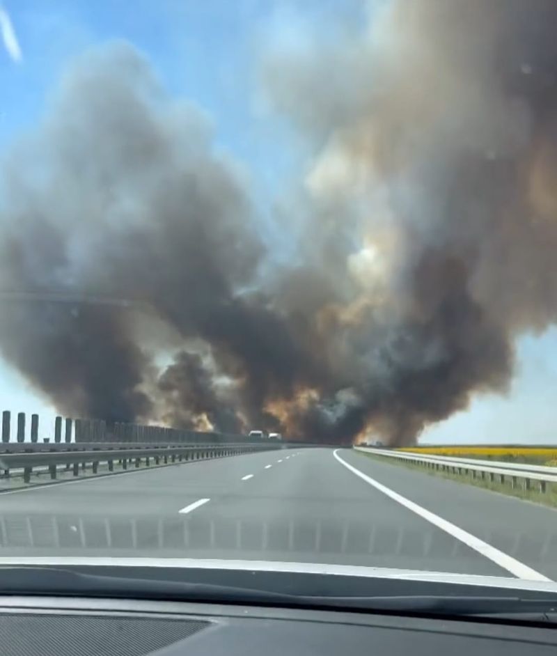  Culiță Sterp incendiu