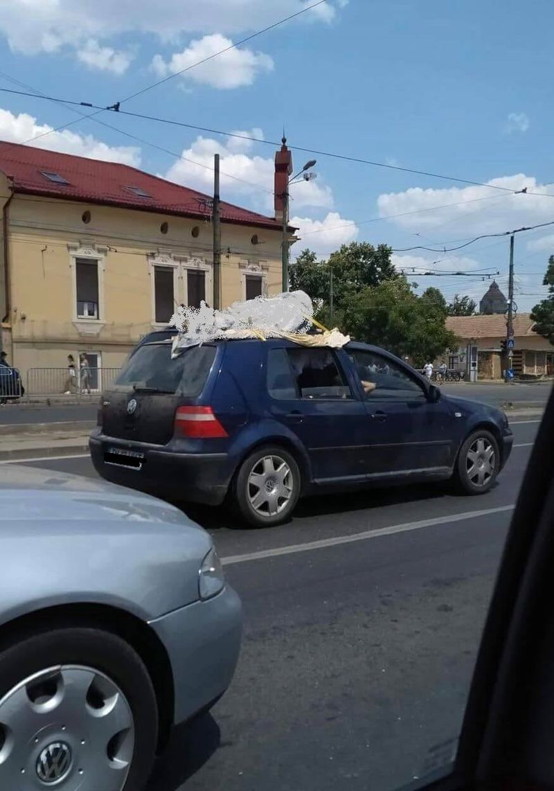 Cadavru Timișoara