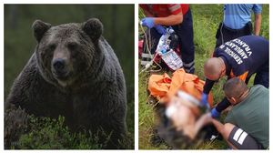 „Fugea ursul cu el în gură” Doi frați din Lepșa s-au trezit cu ursul lângă ei! Animalul sălbatic i-a atacat pe amândoi: „Era muşcat de mână, la burtă”