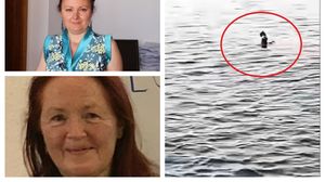 Comisia de anchetă din Egipt, prima concluzie după ce două femei au fost ucise de rechin, în Marea Roșie! Ce s-a întâmplat, de fapt, în spatele atacurilor