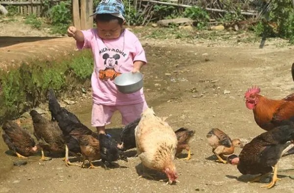 cel mai scund adolescent din lume, cartea recordurilor