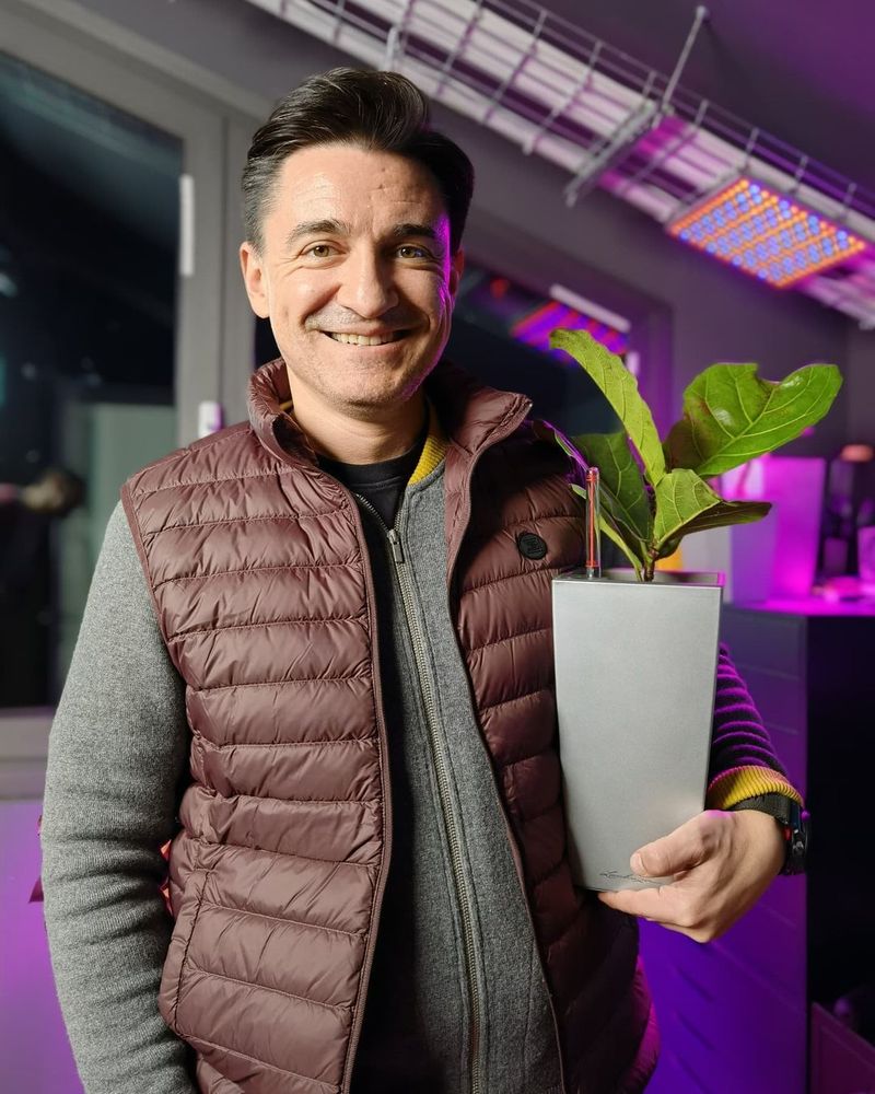 cine este george buhnici