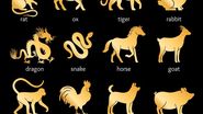 Horoscop chinezesc WEEKEND 22 - 24 iulie 2022