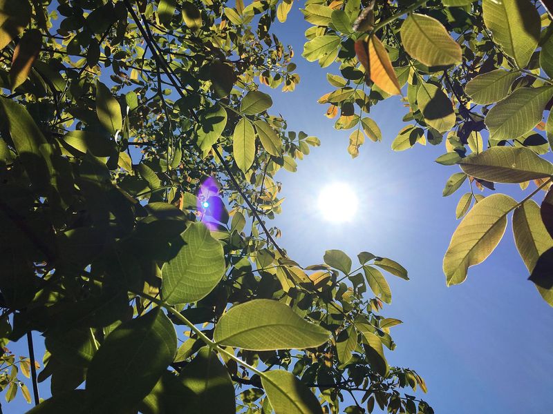 Prognoza meteo ANM, 22 - 24 iulie 2022. Vremea în weekend. Unde sunt anunțate temperaturi de peste 37 de grade Celsius meteo weekend iulie 2022