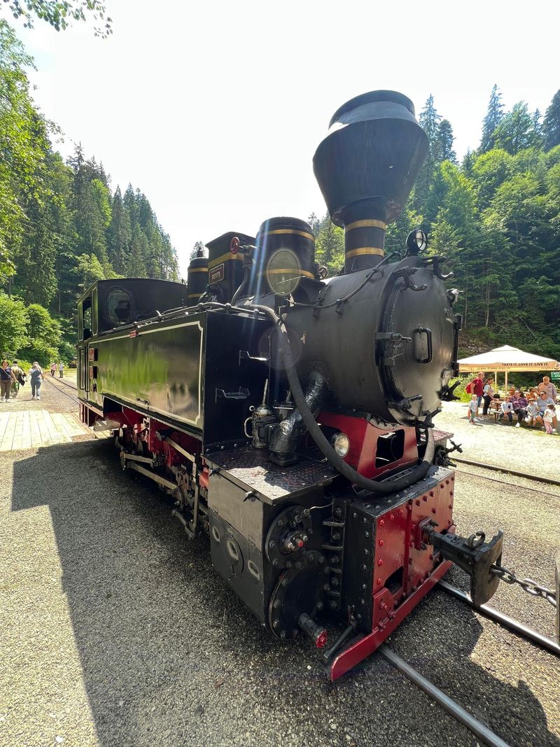 Pe unde să te plimbi cu Mocănița &icirc;n Rom&acirc;nia. Cele mai frumoase trasee ale Mocăniței