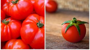 trucuri roșii proaspete