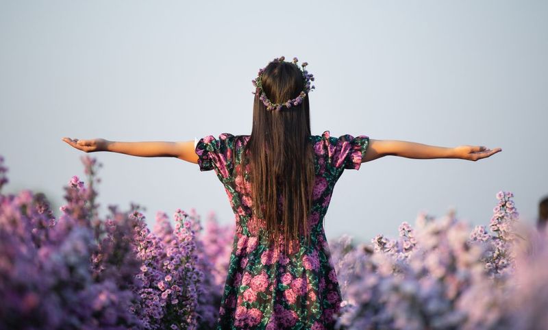 horoscop zodia vedeta a zilei