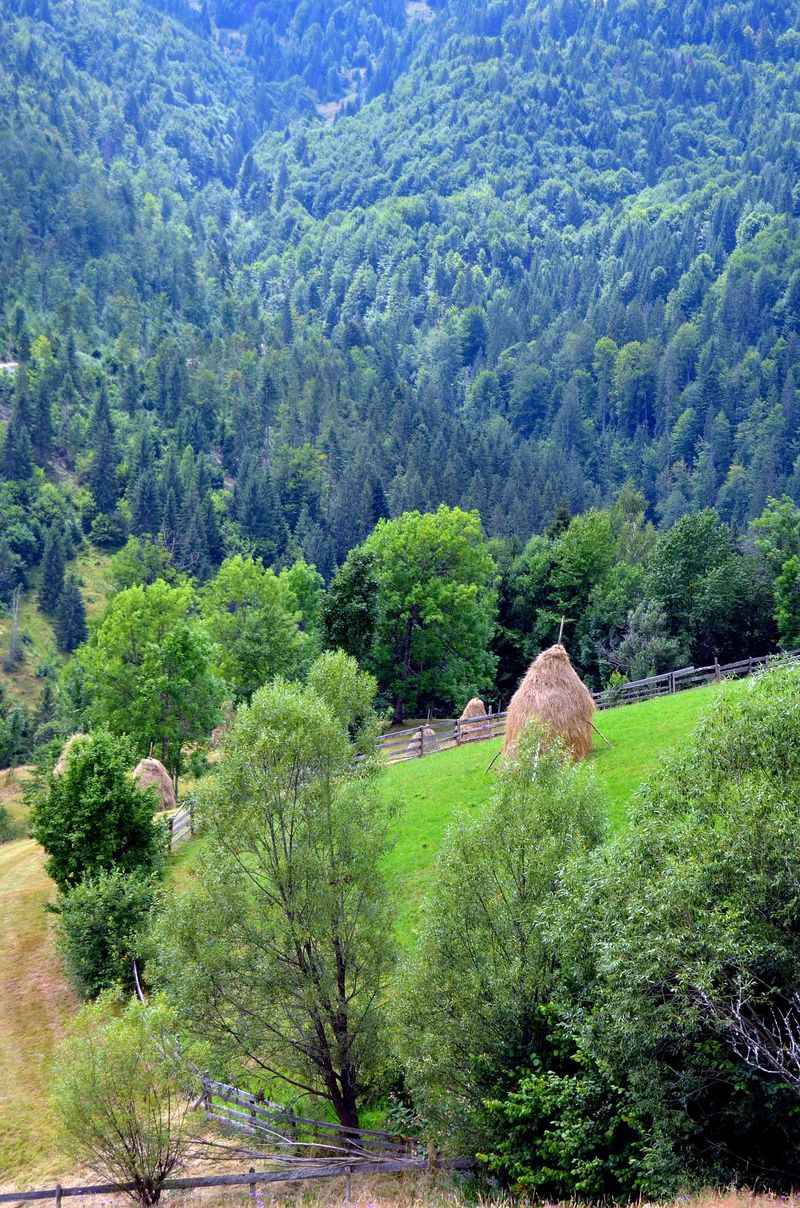 muntii apuseni, bogatiile romaniei, jurnalisti cnn
