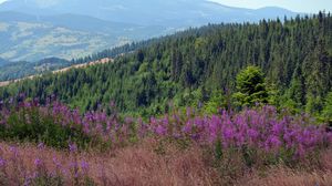 muntii apuseni, bogatiile romaniei, jurnalisti cnn