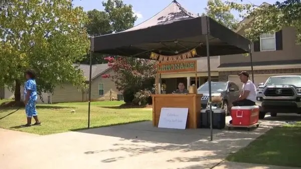 limonada, vinde limonada pentru bani, copil 11 ani