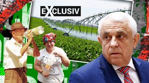 Cheltuiește Guvernul banii cu cap pentru irigații? Aurelian Dochia, economist: „Irosesc enorm de multe resurse și bani” | EXCLUSIV