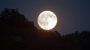 evenimente astronomice august 2022