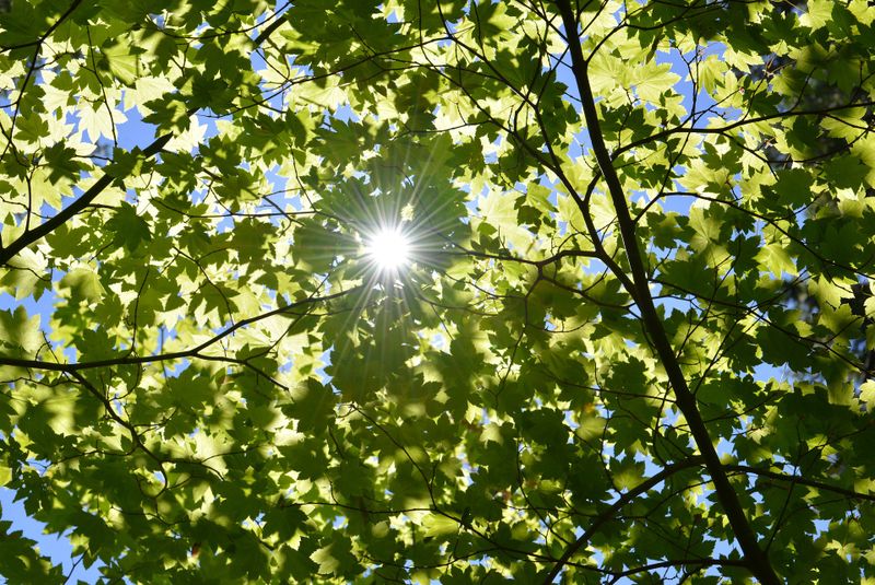 Prognoza meteo ANM, 10 - 21 august 2022. Vremea în țară. Specialiștii anunță o răcire termică la nivelul tuturor regiunilor