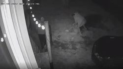 Caz incredibil în Vatra Dornei! O femeie a fost bătută cu telefonul de către iubitul ei: „Tatăl lui se uita şi îl îndemna să dea mai tare şi să mă omoare”