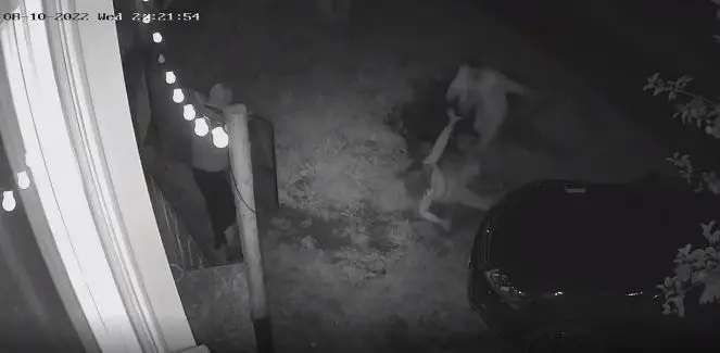 vatra dornei, femeie batuta de iubit, scandal