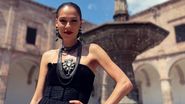 cati urmaritori are irina fodor pe instagram